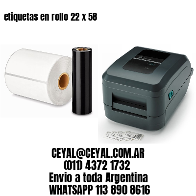 etiquetas en rollo 22 x 58