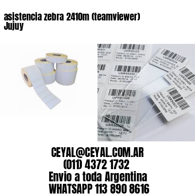 asistencia zebra 2410m (teamviewer)  Jujuy