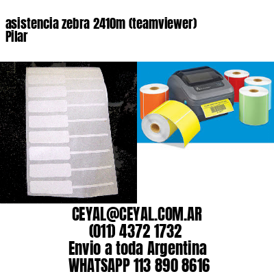 asistencia zebra 2410m (teamviewer)  Pilar