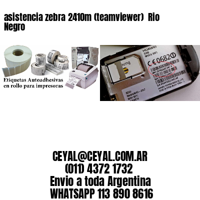 asistencia zebra 2410m (teamviewer)  Rio Negro