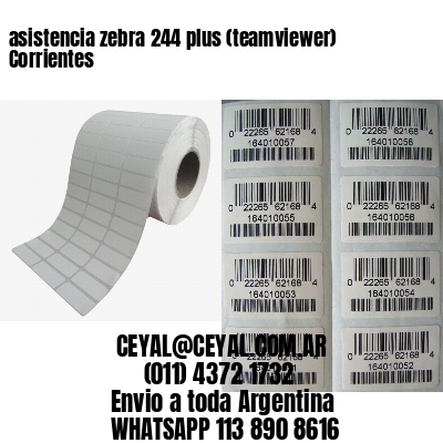 asistencia zebra 244 plus (teamviewer)  Corrientes
