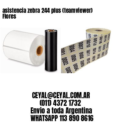 asistencia zebra 244 plus (teamviewer)  Flores