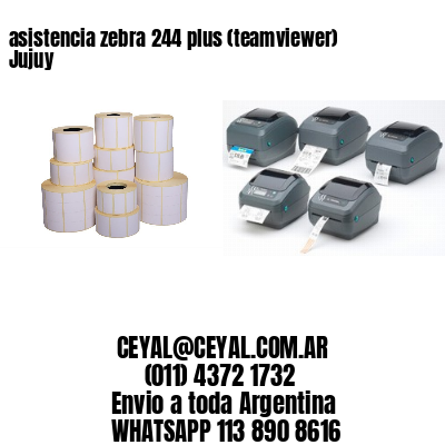 asistencia zebra 244 plus (teamviewer)  Jujuy