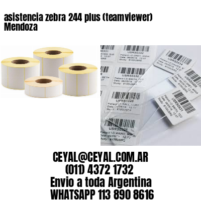 asistencia zebra 244 plus (teamviewer)  Mendoza