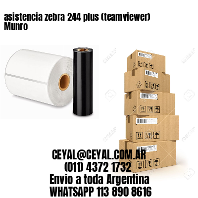 asistencia zebra 244 plus (teamviewer)  Munro