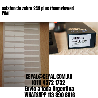 asistencia zebra 244 plus (teamviewer)  Pilar