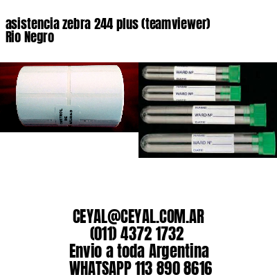 asistencia zebra 244 plus (teamviewer)  Rio Negro