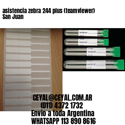 asistencia zebra 244 plus (teamviewer)  San Juan