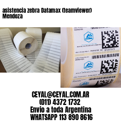 asistencia zebra Datamax (teamviewer)  Mendoza