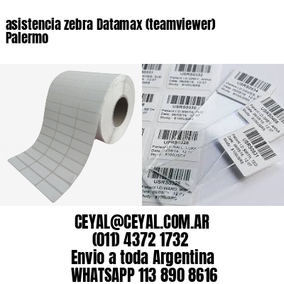 asistencia zebra Datamax (teamviewer)  Palermo