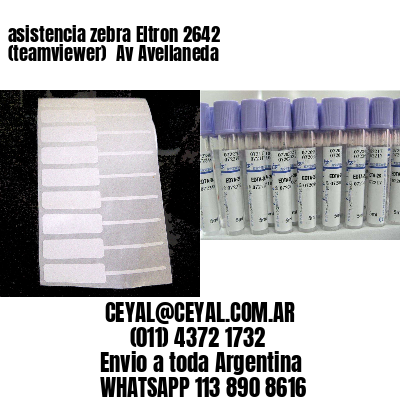 asistencia zebra Eltron 2642 (teamviewer)  Av Avellaneda