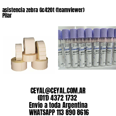 asistencia zebra Gc420t (teamviewer)  Pilar