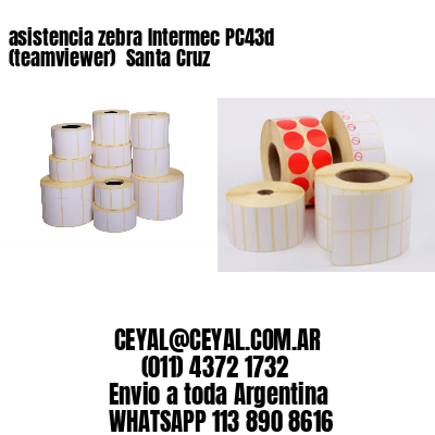 asistencia zebra Intermec PC43d (teamviewer)  Santa Cruz