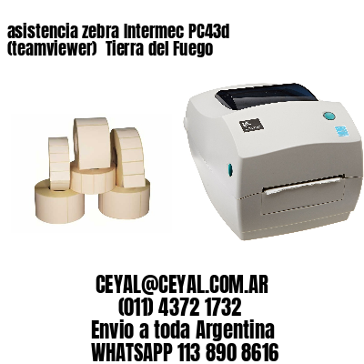 asistencia zebra Intermec PC43d (teamviewer)  Tierra del Fuego