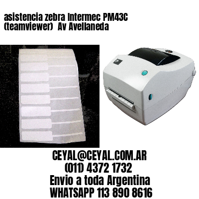 asistencia zebra Intermec PM43C (teamviewer)  Av Avellaneda