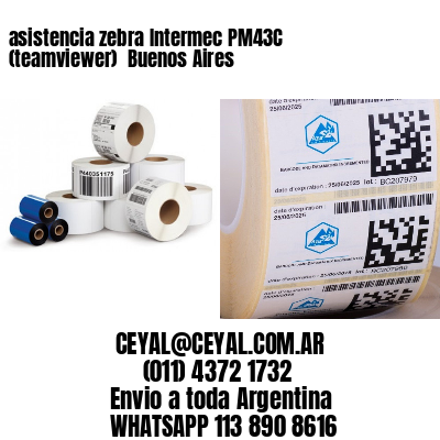 asistencia zebra Intermec PM43C (teamviewer)  Buenos Aires