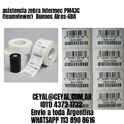 asistencia zebra Intermec PM43C (teamviewer)  Buenos Aires-GBA