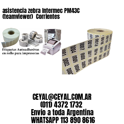 asistencia zebra Intermec PM43C (teamviewer)  Corrientes