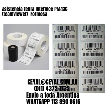asistencia zebra Intermec PM43C (teamviewer)  Formosa