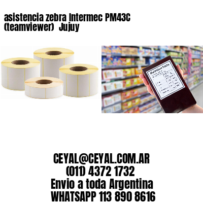 asistencia zebra Intermec PM43C (teamviewer)  Jujuy