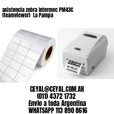 asistencia zebra Intermec PM43C (teamviewer)  La Pampa
