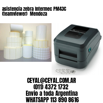 asistencia zebra Intermec PM43C (teamviewer)  Mendoza