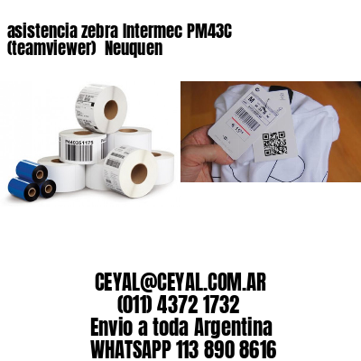 asistencia zebra Intermec PM43C (teamviewer)  Neuquen