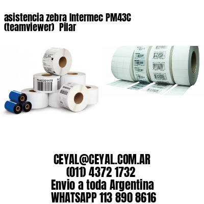 asistencia zebra Intermec PM43C (teamviewer)  Pilar