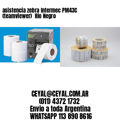 asistencia zebra Intermec PM43C (teamviewer)  Rio Negro