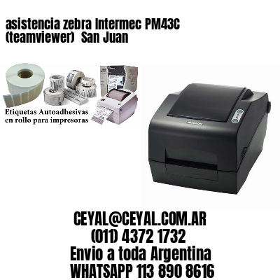 asistencia zebra Intermec PM43C (teamviewer)  San Juan