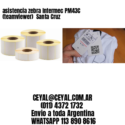 asistencia zebra Intermec PM43C (teamviewer)  Santa Cruz