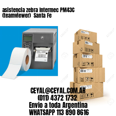 asistencia zebra Intermec PM43C (teamviewer)  Santa Fe