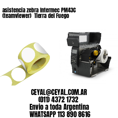 asistencia zebra Intermec PM43C (teamviewer)  Tierra del Fuego