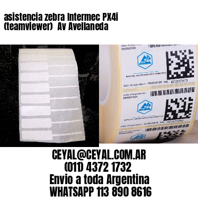 asistencia zebra Intermec PX4i (teamviewer)  Av Avellaneda