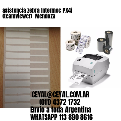 asistencia zebra Intermec PX4i (teamviewer)  Mendoza