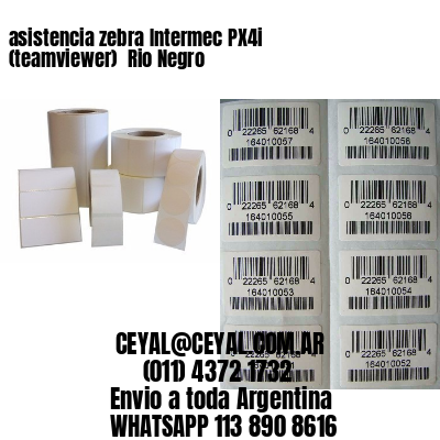 asistencia zebra Intermec PX4i (teamviewer)  Rio Negro