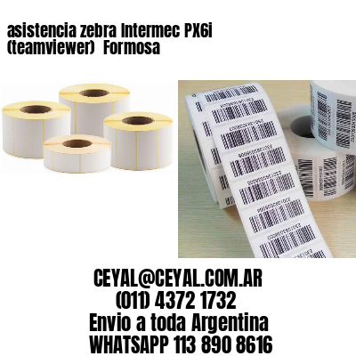 asistencia zebra Intermec PX6i (teamviewer)  Formosa