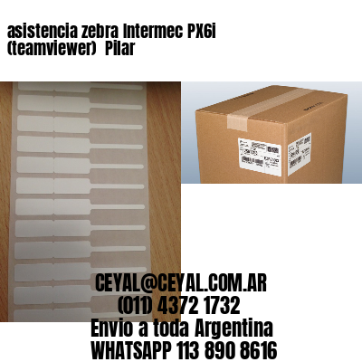 asistencia zebra Intermec PX6i (teamviewer)  Pilar