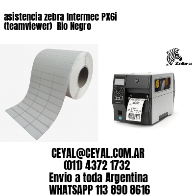 asistencia zebra Intermec PX6i (teamviewer)  Rio Negro