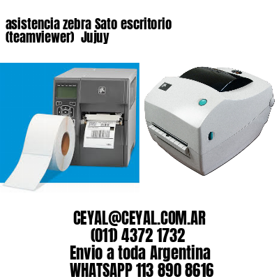 asistencia zebra Sato escritorio (teamviewer)  Jujuy