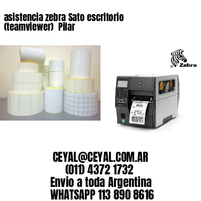 asistencia zebra Sato escritorio (teamviewer)  Pilar