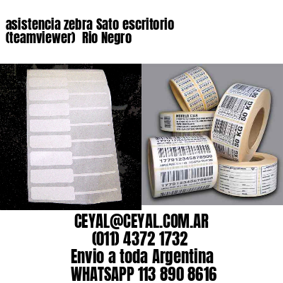 asistencia zebra Sato escritorio (teamviewer)  Rio Negro