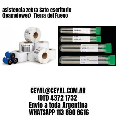 asistencia zebra Sato escritorio (teamviewer)  Tierra del Fuego