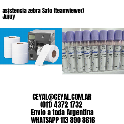 asistencia zebra Sato (teamviewer)  Jujuy