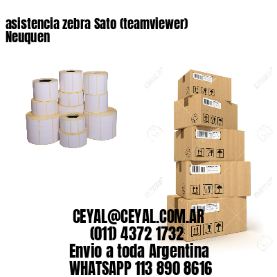 asistencia zebra Sato (teamviewer)  Neuquen