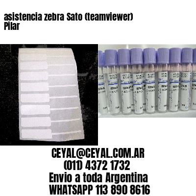 asistencia zebra Sato (teamviewer)  Pilar
