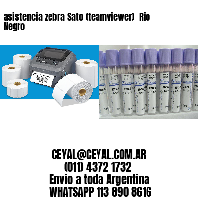 asistencia zebra Sato (teamviewer)  Rio Negro
