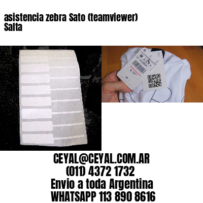 asistencia zebra Sato (teamviewer)  Salta