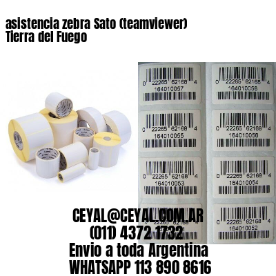 asistencia zebra Sato (teamviewer)  Tierra del Fuego