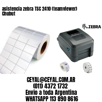 asistencia zebra TSC 2410 (teamviewer)  Chubut